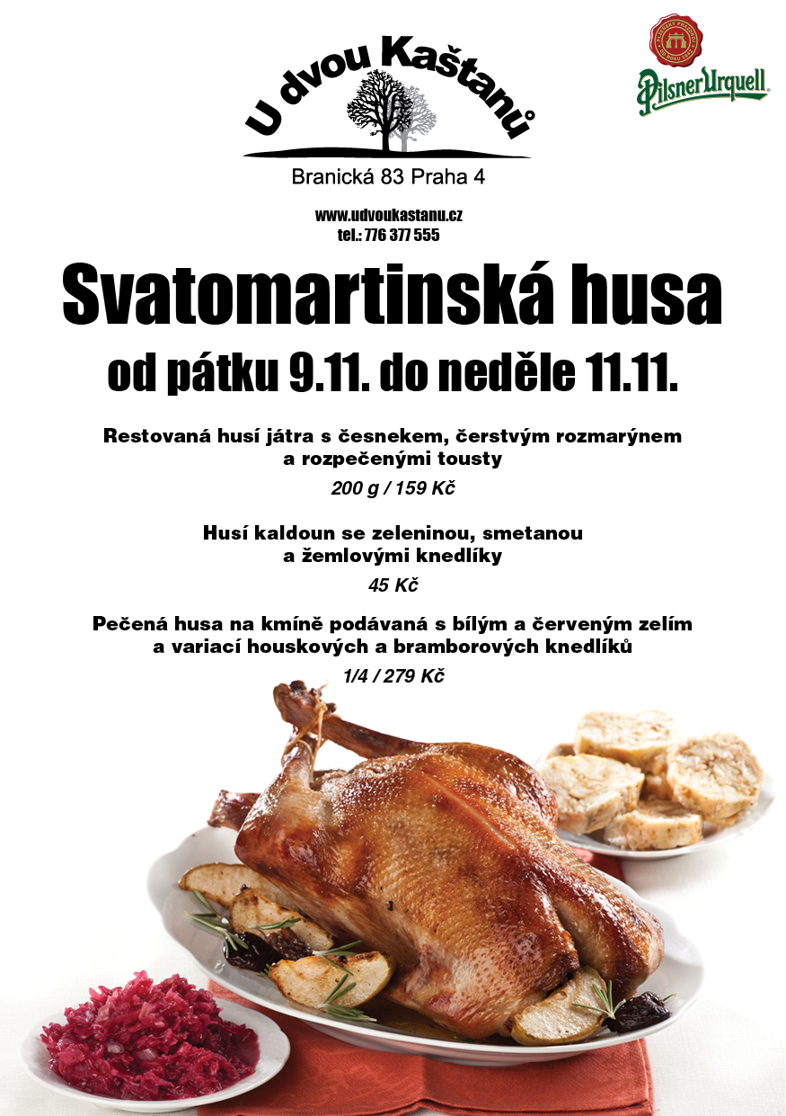 Svatomartinská husa